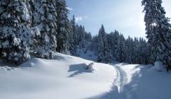 Paganella e Dolomiti di Brenta in Inverno